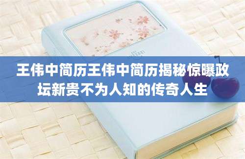 王伟中简历王伟中简历揭秘惊曝政坛新贵不为人知的传奇人生