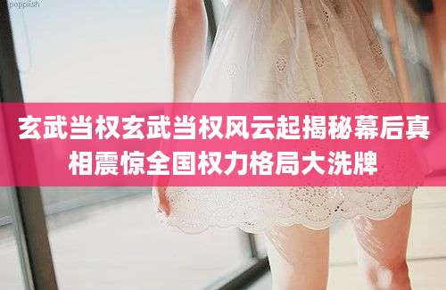 玄武当权玄武当权风云起揭秘幕后真相震惊全国权力格局大洗牌