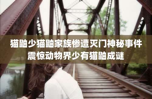 猫鼬少猫鼬家族惨遭灭门神秘事件震惊动物界少有猫鼬成谜