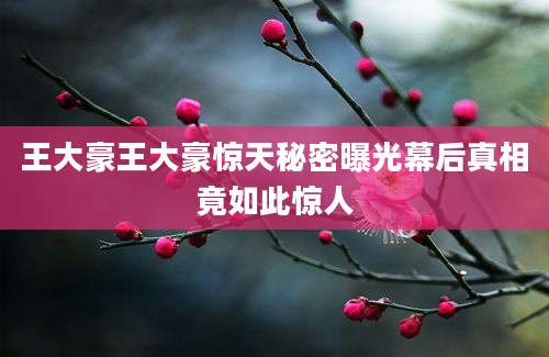 王大豪王大豪惊天秘密曝光幕后真相竟如此惊人