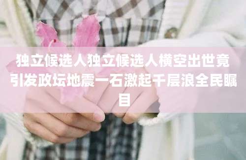 独立候选人独立候选人横空出世竟引发政坛地震一石激起千层浪全民瞩目