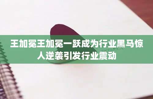 王加冕王加冕一跃成为行业黑马惊人逆袭引发行业震动