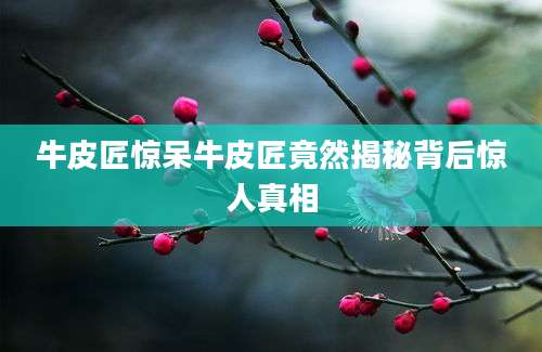 牛皮匠惊呆牛皮匠竟然揭秘背后惊人真相