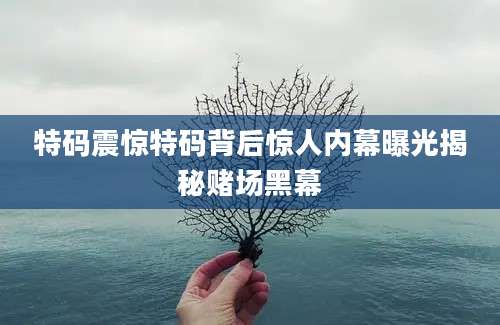 特码震惊特码背后惊人内幕曝光揭秘赌场黑幕