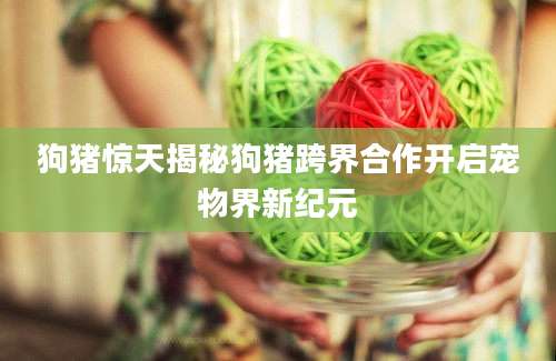 狗猪惊天揭秘狗猪跨界合作开启宠物界新纪元