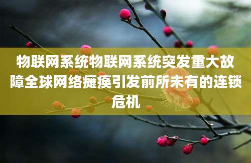 物联网系统物联网系统突发重大故障全球网络瘫痪引发前所未有的连锁危机