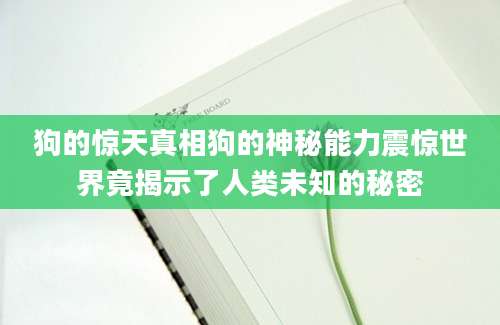 狗的惊天真相狗的神秘能力震惊世界竟揭示了人类未知的秘密