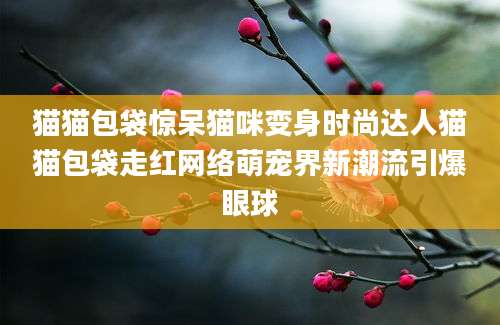 猫猫包袋惊呆猫咪变身时尚达人猫猫包袋走红网络萌宠界新潮流引爆眼球
