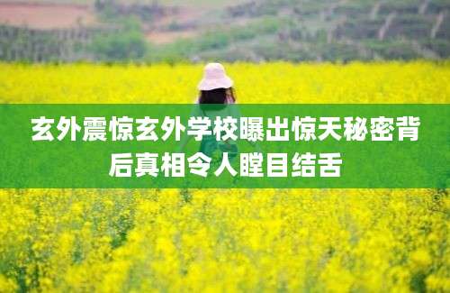 玄外震惊玄外学校曝出惊天秘密背后真相令人瞠目结舌