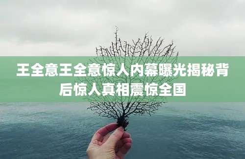 王全意王全意惊人内幕曝光揭秘背后惊人真相震惊全国
