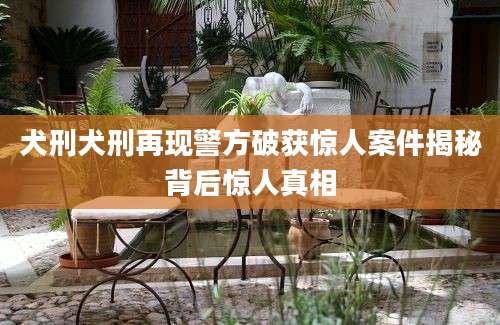 犬刑犬刑再现警方破获惊人案件揭秘背后惊人真相