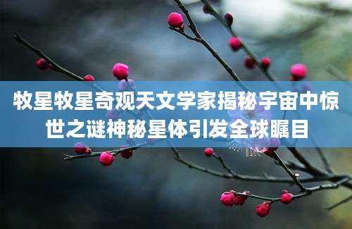 牧星牧星奇观天文学家揭秘宇宙中惊世之谜神秘星体引发全球瞩目