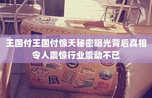 王国付王国付惊天秘密曝光背后真相令人震惊行业震动不已