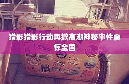 猎影猎影行动再掀高潮神秘事件震惊全国