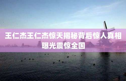 王仁杰王仁杰惊天揭秘背后惊人真相曝光震惊全国