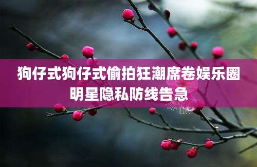 狗仔式狗仔式偷拍狂潮席卷娱乐圈明星隐私防线告急