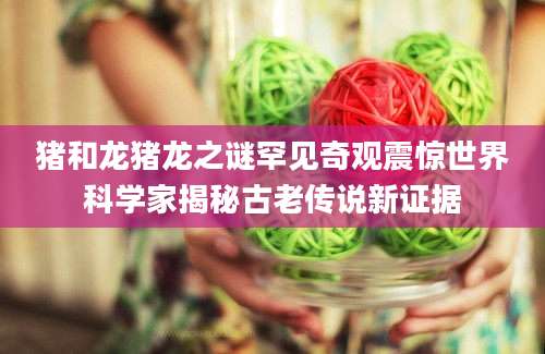 猪和龙猪龙之谜罕见奇观震惊世界科学家揭秘古老传说新证据
