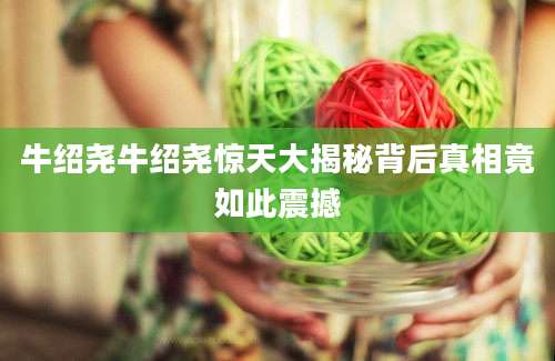 牛绍尧牛绍尧惊天大揭秘背后真相竟如此震撼
