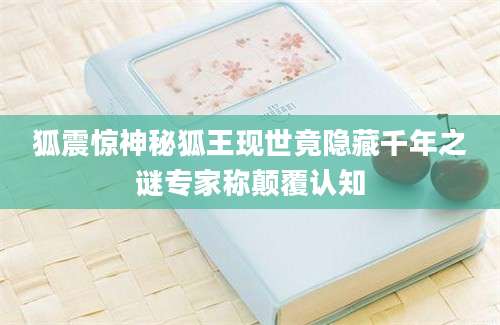 狐震惊神秘狐王现世竟隐藏千年之谜专家称颠覆认知