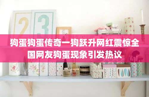 狗蛋狗蛋传奇一狗跃升网红震惊全国网友狗蛋现象引发热议