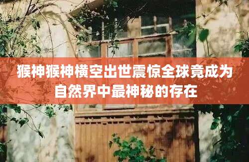 猴神猴神横空出世震惊全球竟成为自然界中最神秘的存在