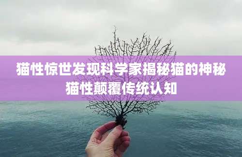 猫性惊世发现科学家揭秘猫的神秘猫性颠覆传统认知