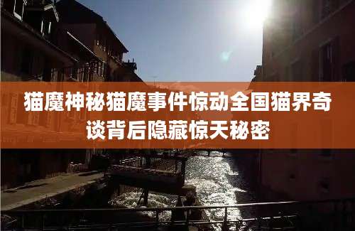 猫魔神秘猫魔事件惊动全国猫界奇谈背后隐藏惊天秘密