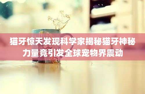 猫牙惊天发现科学家揭秘猫牙神秘力量竟引发全球宠物界震动