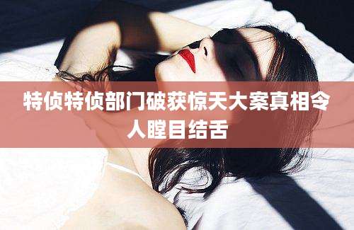 特侦特侦部门破获惊天大案真相令人瞠目结舌
