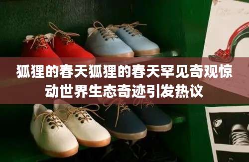 狐狸的春天狐狸的春天罕见奇观惊动世界生态奇迹引发热议