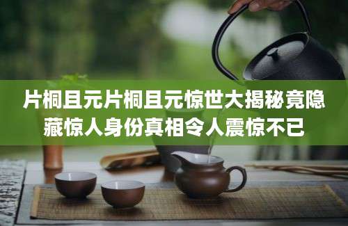 片桐且元片桐且元惊世大揭秘竟隐藏惊人身份真相令人震惊不已