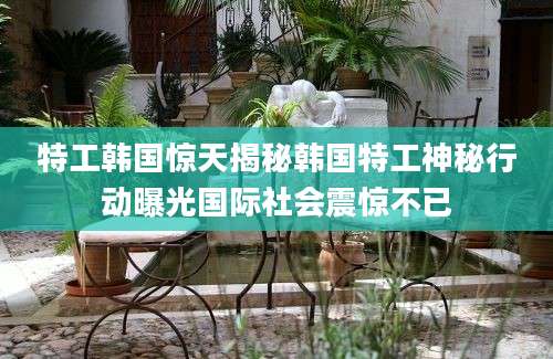 特工韩国惊天揭秘韩国特工神秘行动曝光国际社会震惊不已