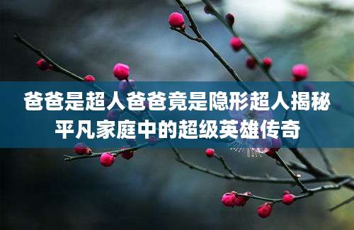 爸爸是超人爸爸竟是隐形超人揭秘平凡家庭中的超级英雄传奇