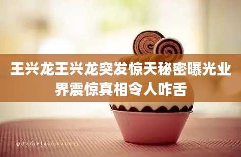 王兴龙王兴龙突发惊天秘密曝光业界震惊真相令人咋舌