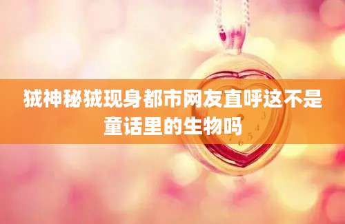 狨神秘狨现身都市网友直呼这不是童话里的生物吗
