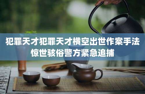 犯罪天才犯罪天才横空出世作案手法惊世骇俗警方紧急追捕