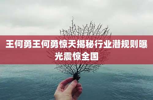 王何勇王何勇惊天揭秘行业潜规则曝光震惊全国