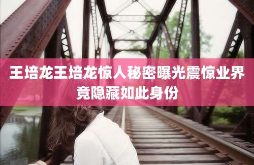 王培龙王培龙惊人秘密曝光震惊业界竟隐藏如此身份