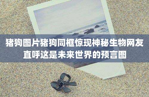 猪狗图片猪狗同框惊现神秘生物网友直呼这是未来世界的预言图