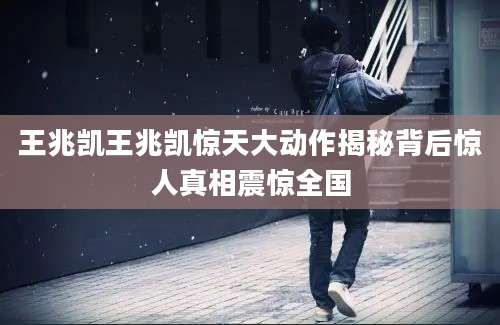 王兆凯王兆凯惊天大动作揭秘背后惊人真相震惊全国