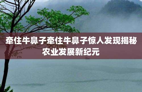 牵住牛鼻子牵住牛鼻子惊人发现揭秘农业发展新纪元