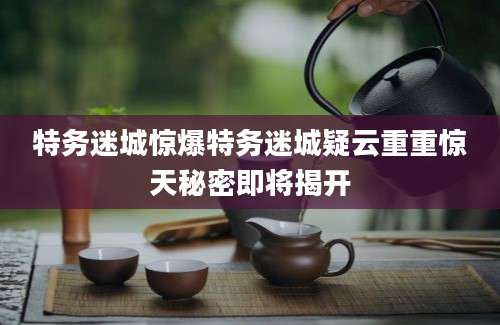 特务迷城惊爆特务迷城疑云重重惊天秘密即将揭开