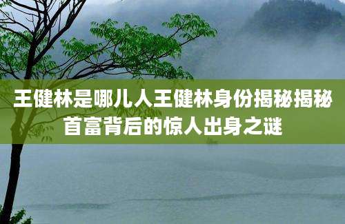 王健林是哪儿人王健林身份揭秘揭秘首富背后的惊人出身之谜