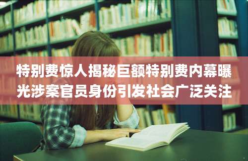 特别费惊人揭秘巨额特别费内幕曝光涉案官员身份引发社会广泛关注
