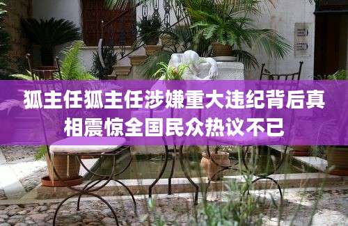 狐主任狐主任涉嫌重大违纪背后真相震惊全国民众热议不已