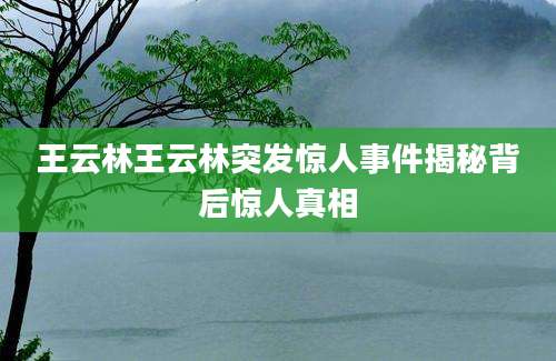 王云林王云林突发惊人事件揭秘背后惊人真相