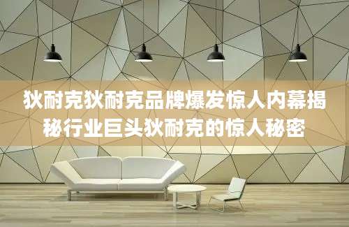 狄耐克狄耐克品牌爆发惊人内幕揭秘行业巨头狄耐克的惊人秘密
