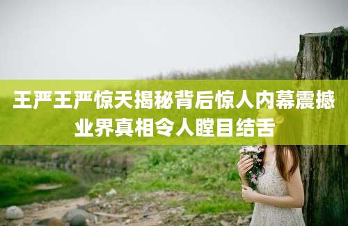 王严王严惊天揭秘背后惊人内幕震撼业界真相令人瞠目结舌