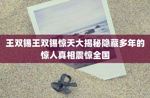 王双锡王双锡惊天大揭秘隐藏多年的惊人真相震惊全国