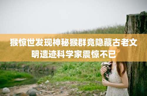 猴惊世发现神秘猴群竟隐藏古老文明遗迹科学家震惊不已